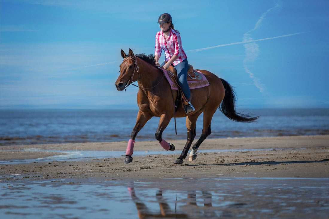 Sonne, Salz und Meer – Wellness für Dein Pferd