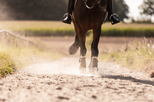Training bei Equinem Asthma